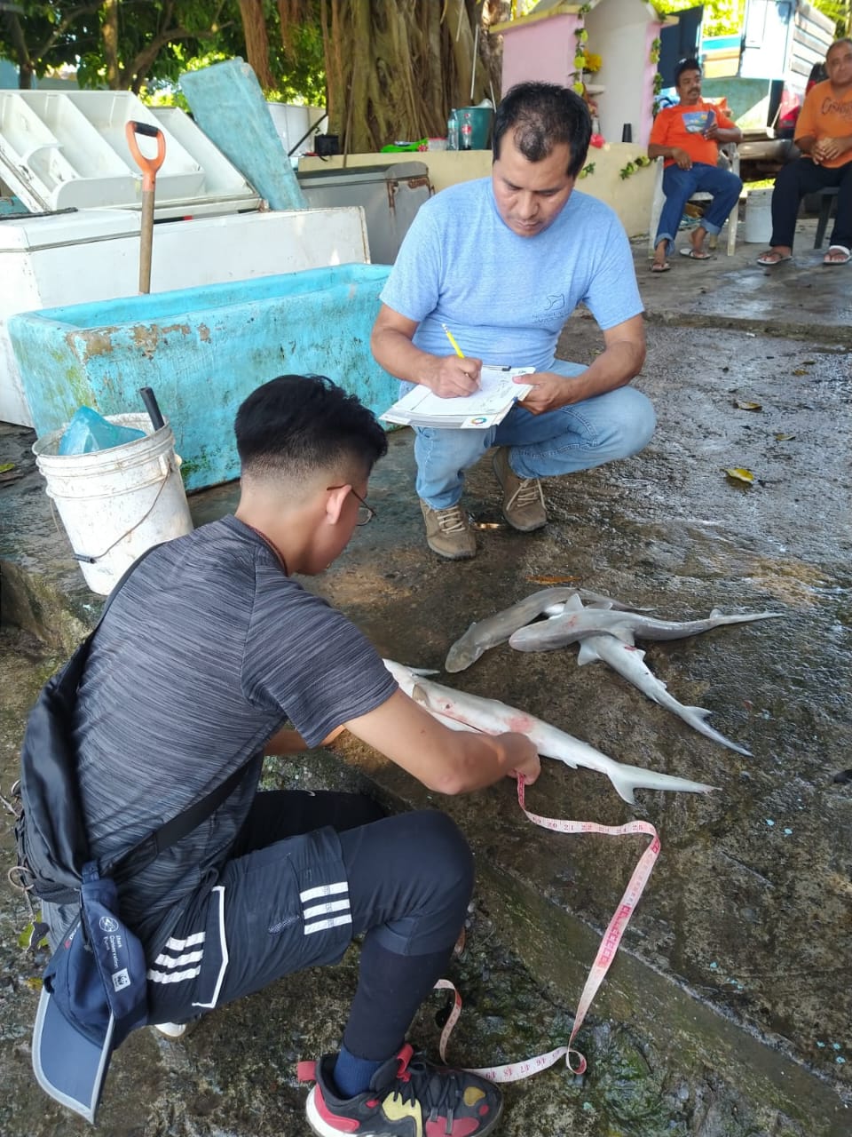 Exposición fotográfica